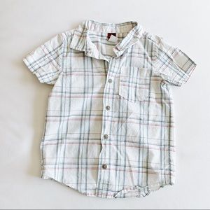 Tea Collection Button Up